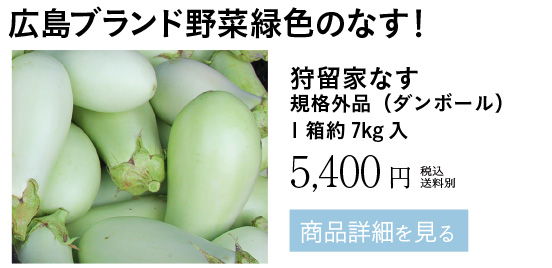 狩留家なす規格外品（ダンボール）1箱約7kg入