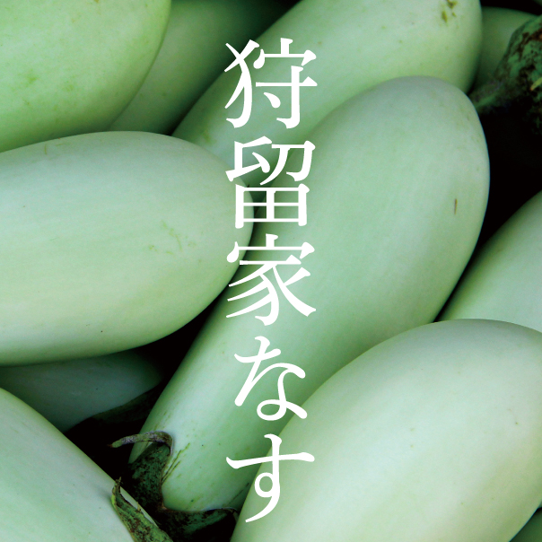 狩留家なすの販売を始めます2025