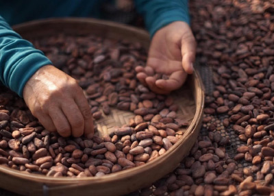 フェアトレード　カカオチョコレート