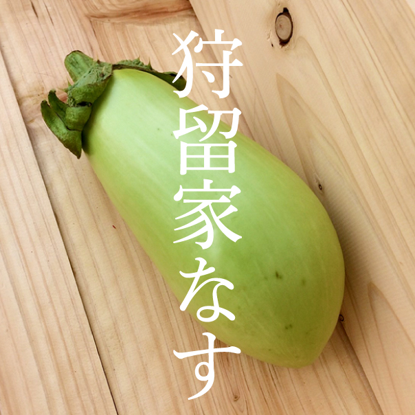 幸せのトロトロ食感 狩留家なす